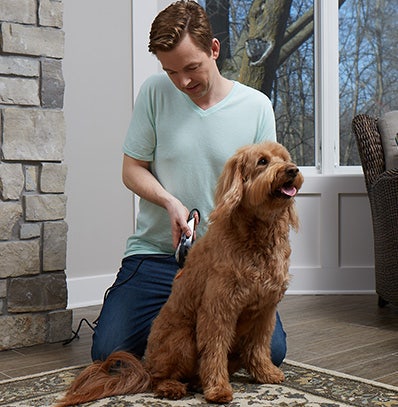 Man clipping his dog's hair at home with Wahl pet clippers.