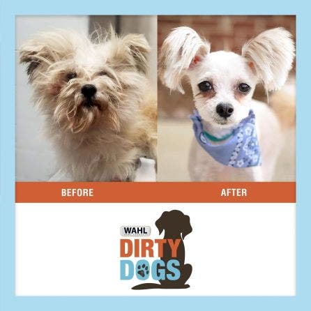 Wahl dirty dogs