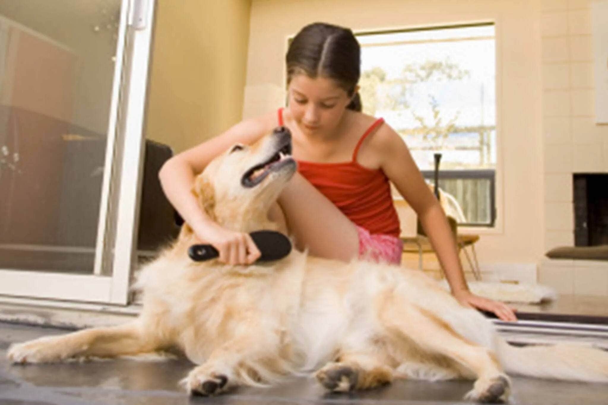 A girl brushing her dog's fur to remove mats or tangles.
