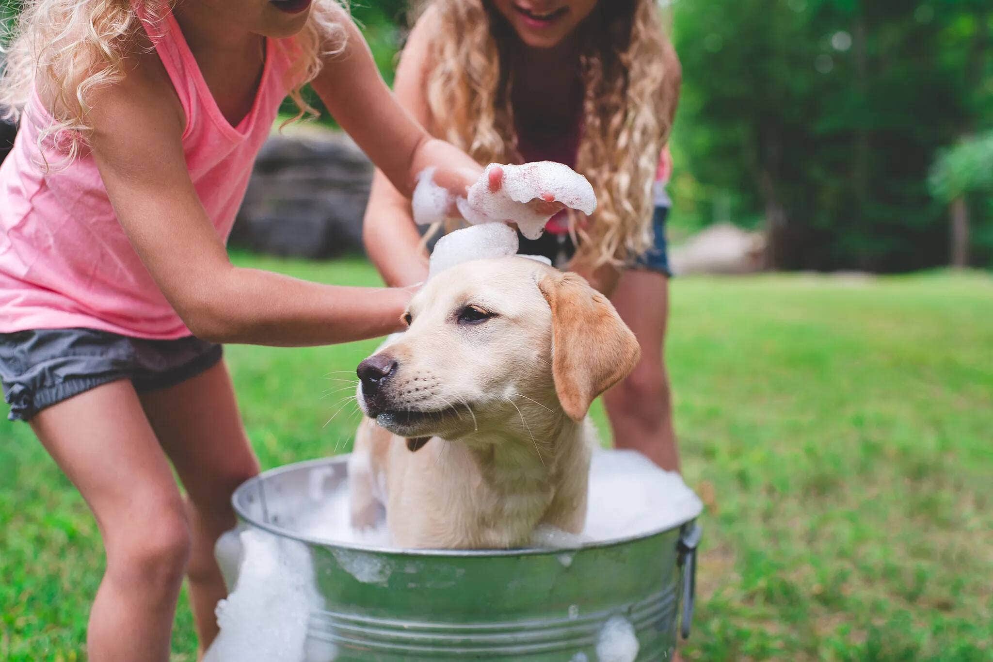 Two girls washing their dog in a tub outdoors. 