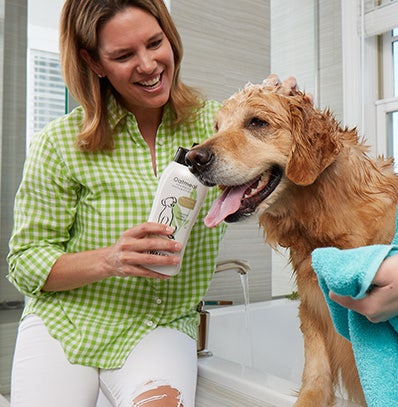 A woman shampooing her dog with Wahl pet shampoo.