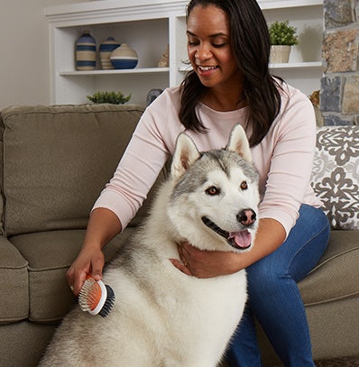 A woman brushing her dog's fur.