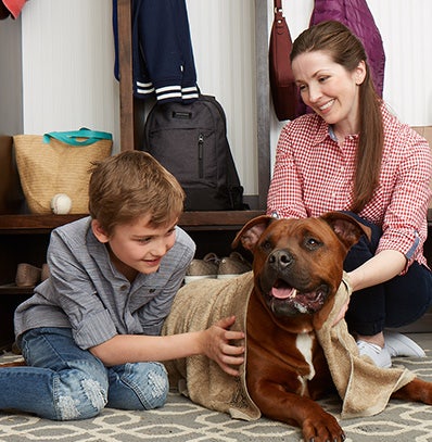 Family sitting with their happy groomed dog.