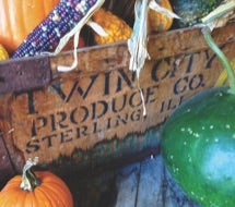 Twin Cities sign with pumpkin